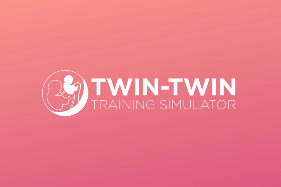Twin-to-Twin Simulator logo