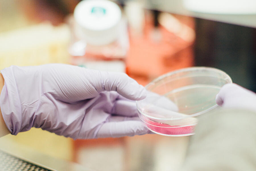 Scientist holding petri dish