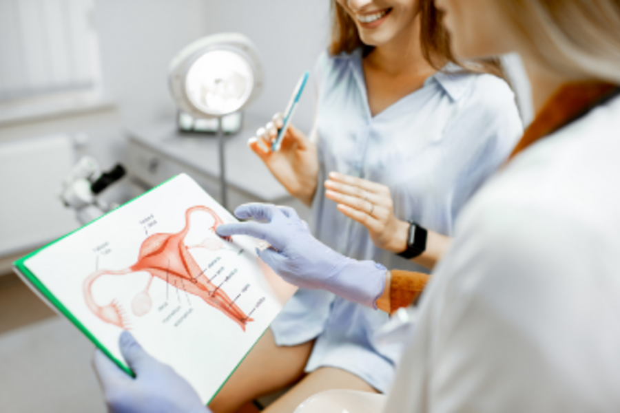 Doctor showing patient diagram of female reproductive organs