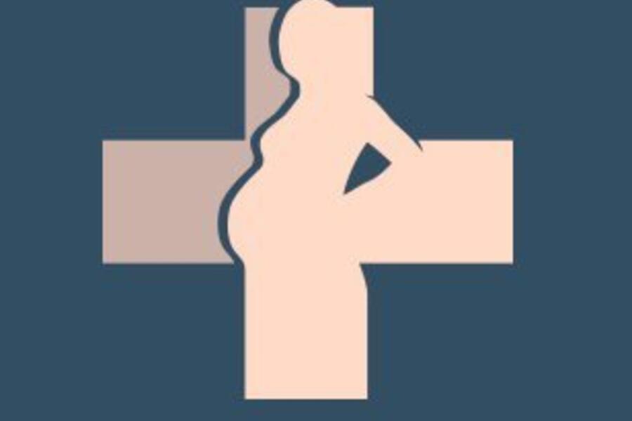 Pandemic Pregnancy Guide Logo