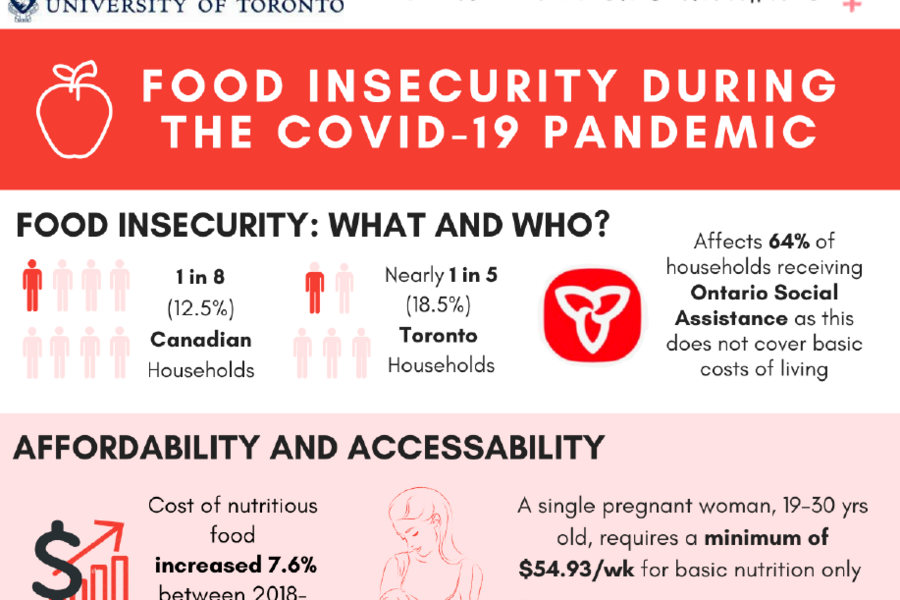 food insecurity infographic sample