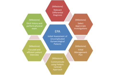 Measuring Progress With Entrustable Professional Activities (EPAs ...