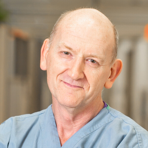 Greg Ryan